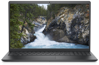 Зображення Ноутбук Dell Vostro 3525 (N1010VNB3525UA_UBU)