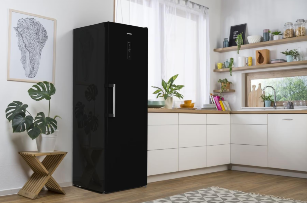 Холодильник Gorenje R619EABK6 фото №17