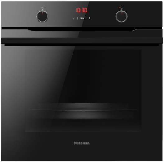 Духовой шкаф Hansa FCGS69326 фото №4