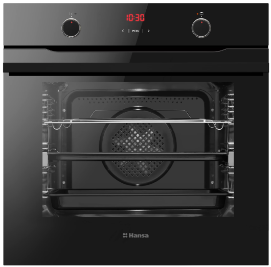 Духовой шкаф Hansa FCGS69326 фото №5