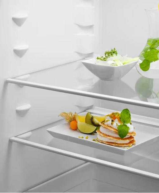 Холодильник Electrolux RNT6NE18S фото №3