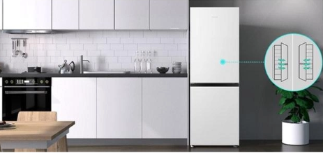 Холодильник Hisense RB291D4CWF (BCD-226) фото №5