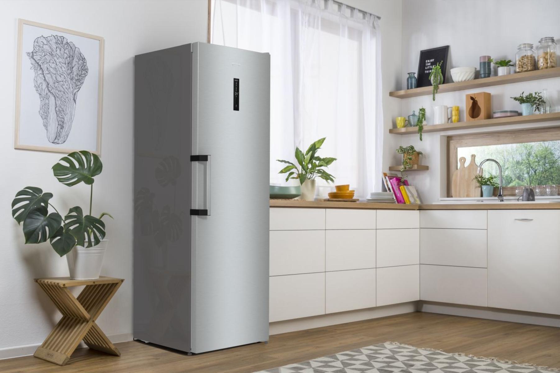 Холодильник Gorenje R619EAXL6 фото №5