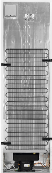 Холодильник Electrolux RNT7ME34K1 фото №3