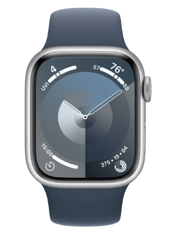 Смарт-часы Apple Watch Series 9 GPS 45mm Silver Alu. Case w. Storm Blue S. Band - M/L (MR9E3)