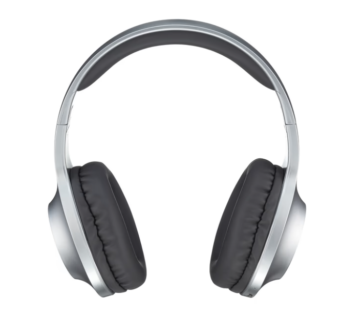Навушники Panasonic RB-HX220BEE-S Gray (RB-HX220BEE-S)