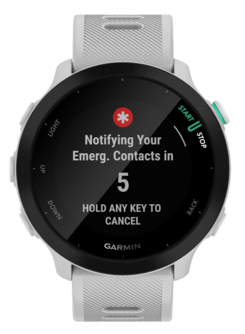 Smart годинник Garmin Forerunner 55, Whitestone, GPS (010-02562-11) фото №2