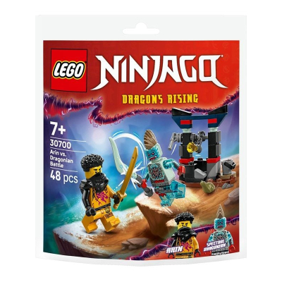 Конструктор Lego recruitment Ninjago Арін проти Дракона: Битва (30700)