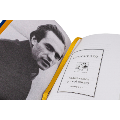 Книга А-ба-ба-га-ла-ма-га Задивляюсь у твої зіниці - Василь Симоненко  (9786175851661) фото №3