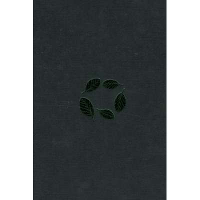 Книга А-ба-ба-га-ла-ма-га Букова земля - Марія Матіос  (9786175851791) фото №3