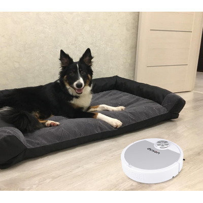 Пилосос безмішковий DYXON MEGAVAC 3000 white-silver фото №9