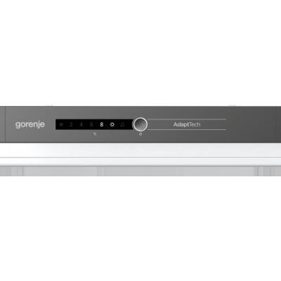 Холодильник Gorenje RI2181A1 фото №3