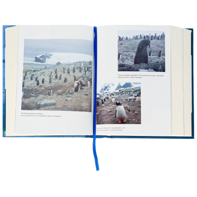Книга Мрія про Антарктиду - Маркіян Прохасько  (9789666799886) фото №5