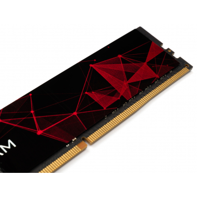 Модуль пам'яті для комп'ютера Exceleram DDR4 16GB 2666 MHz LOGO Series  (EL416266C) фото №4