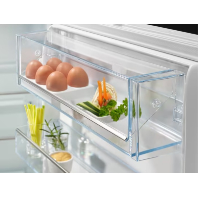 Холодильник Electrolux RNT6TE19S фото №4