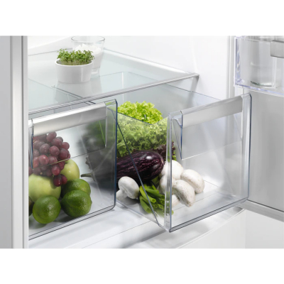 Холодильник Electrolux RNT6TF18S1 фото №4